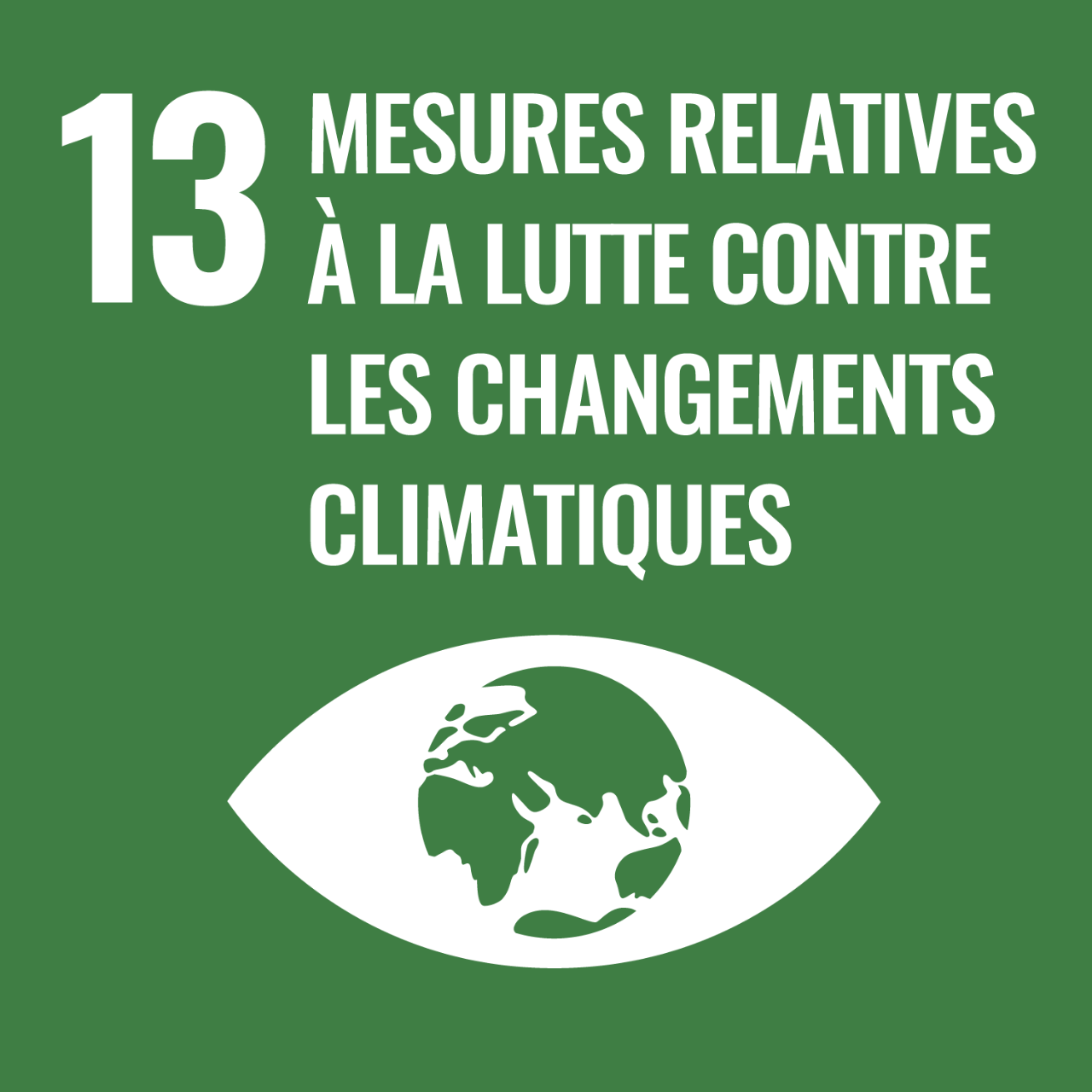 13 climate action